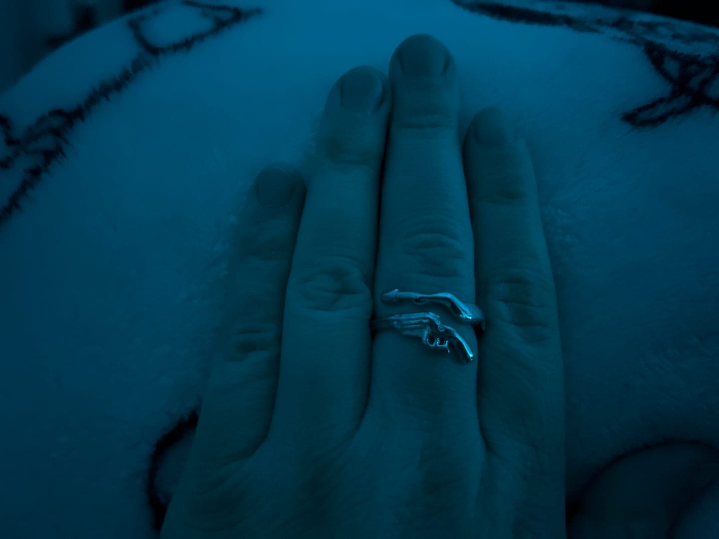 Customer photo review of SHOOTING IRON RING