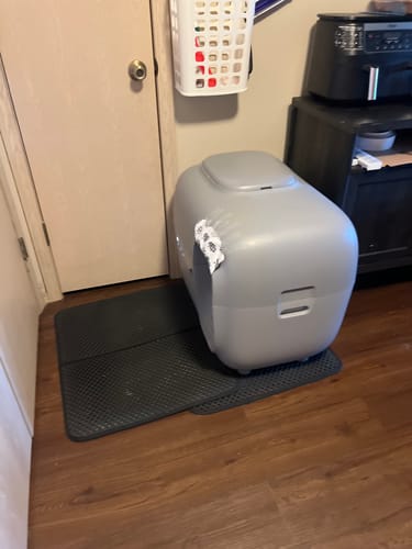 Customer photo review of Self-Cleaning Litter Box