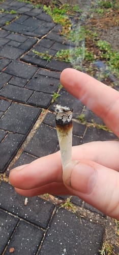 Customer photo review of 420 Special - 28 Grams Littles - $42.00