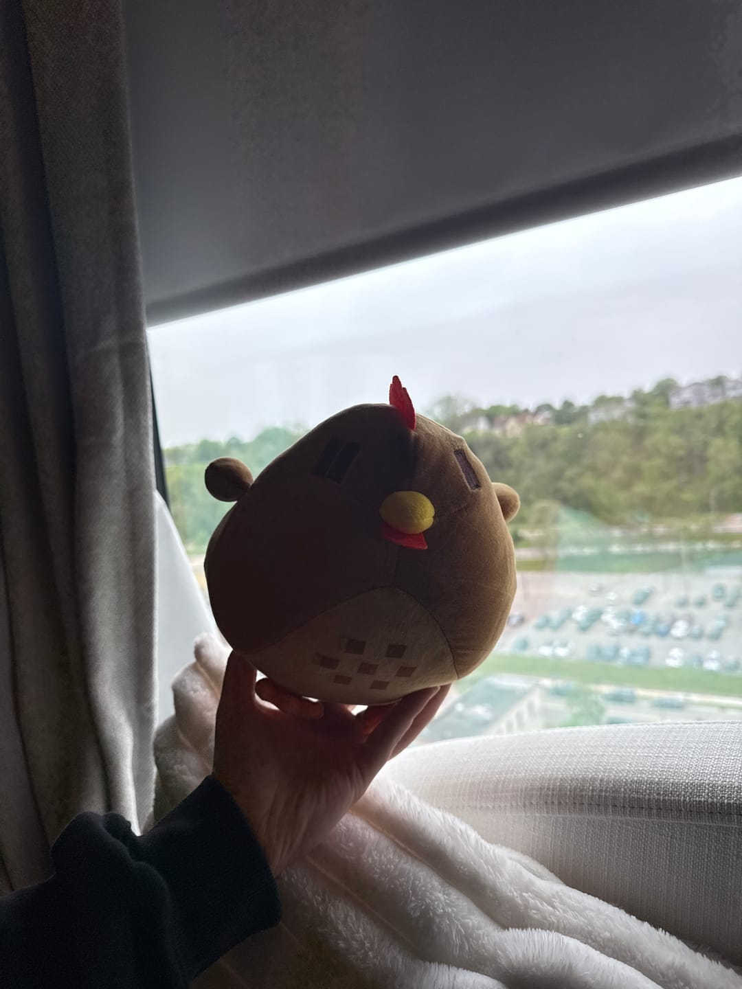 Customer photo review of Stardew Valley - Brown Chicken Pillow Plush