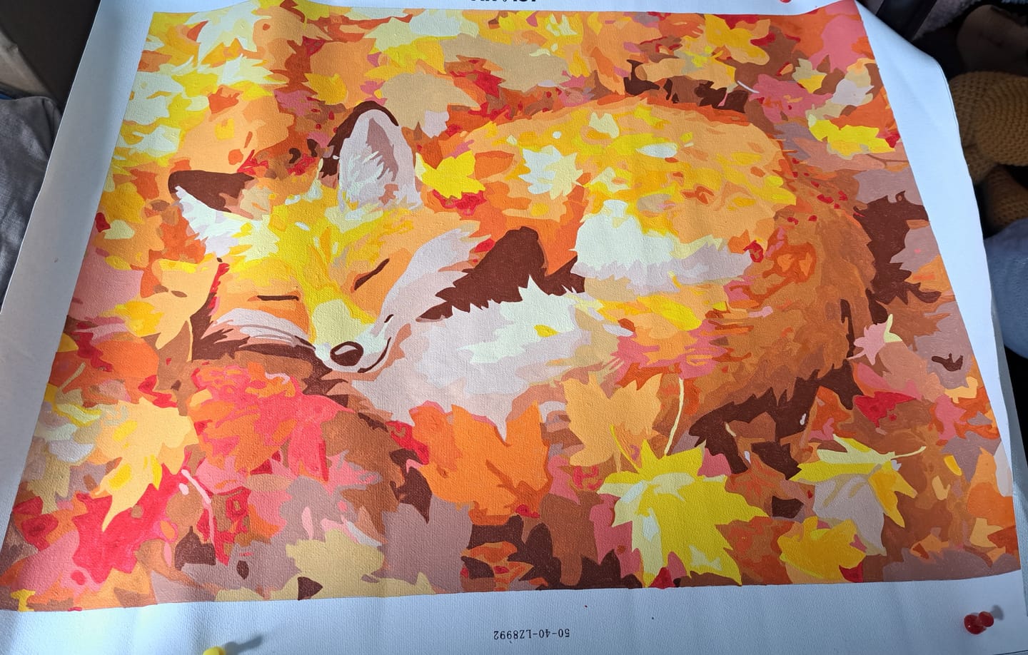Customer photo review of Fall Asleep