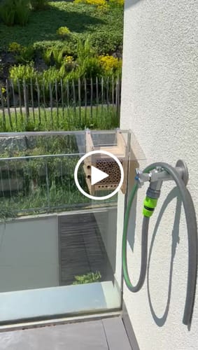 Customer video review of BeeHome Observer