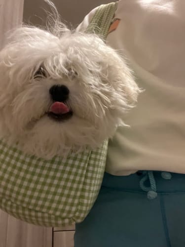 Customer photo review of Borsa Cotone Vichy Verde Pistacchio