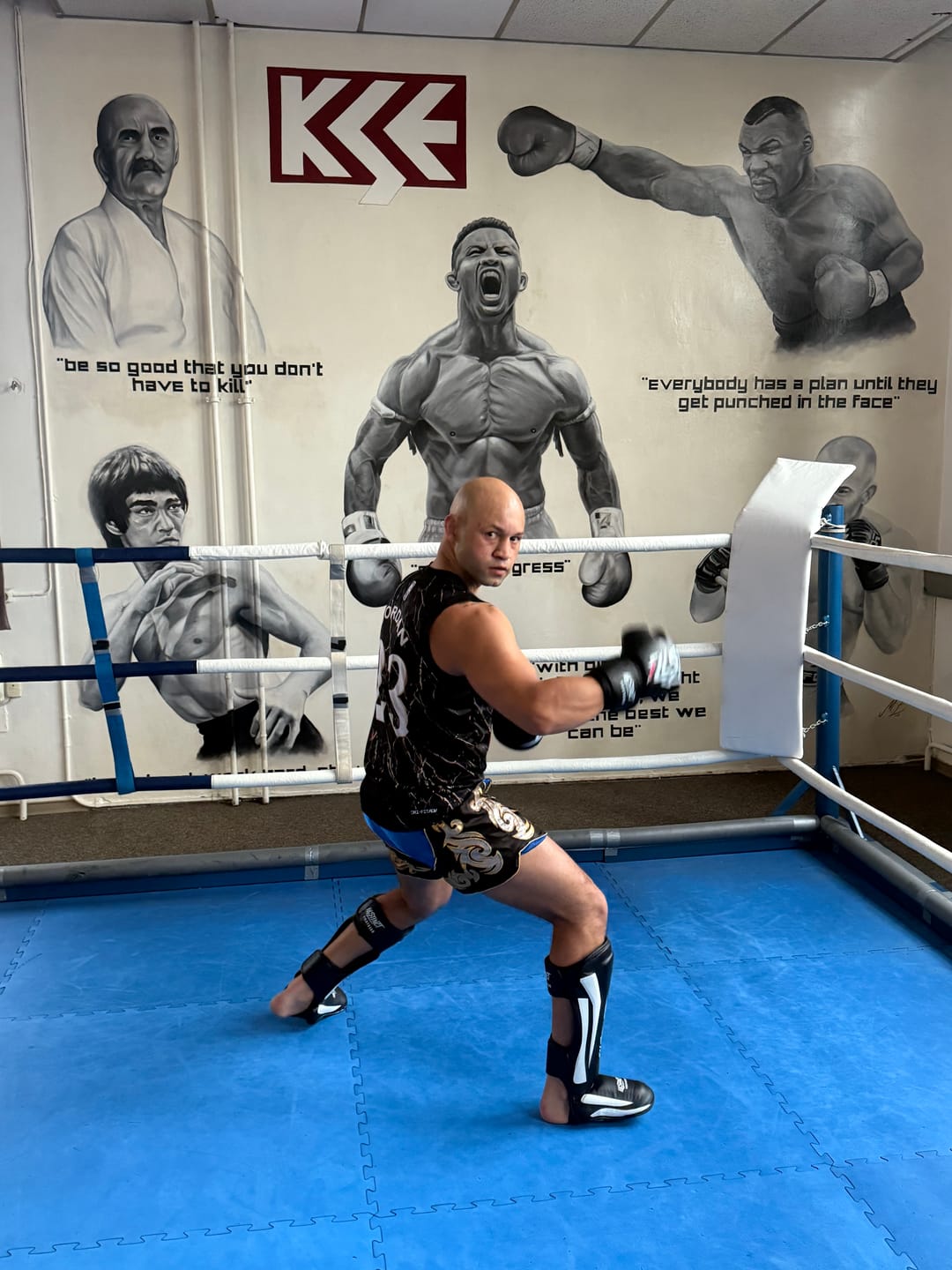 Customer photo review of Skilltech Boxhandschuhe