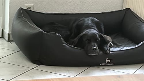 Customer photo review of Nature Protect