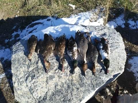 Customer photo review of TIDEWE Men’s Heated Duck Hunting Jacket with Fleece Lining, Waterproof 1/2 Zip Jacket for Hunting (Veil Avayde Camo, Size S-XXXL)