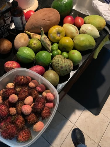 Customer photo review of Tropical Variety Box