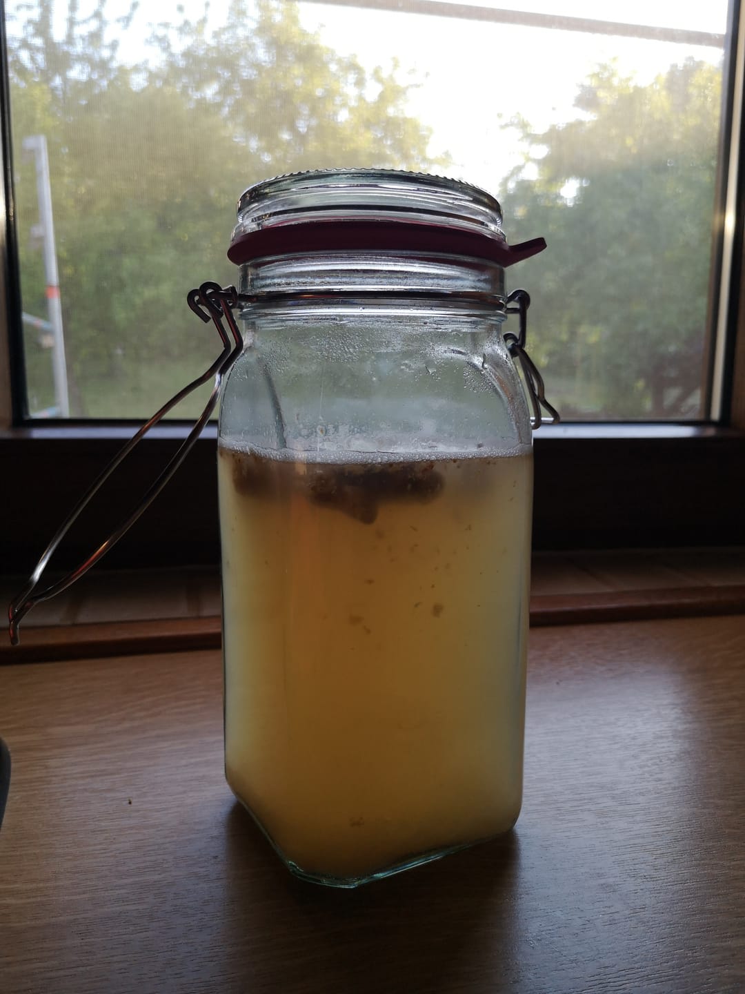 Customer photo review of BIO Wasserkefir-Erlebnisset: Kristalle & Komplettzubehör für Einsteiger