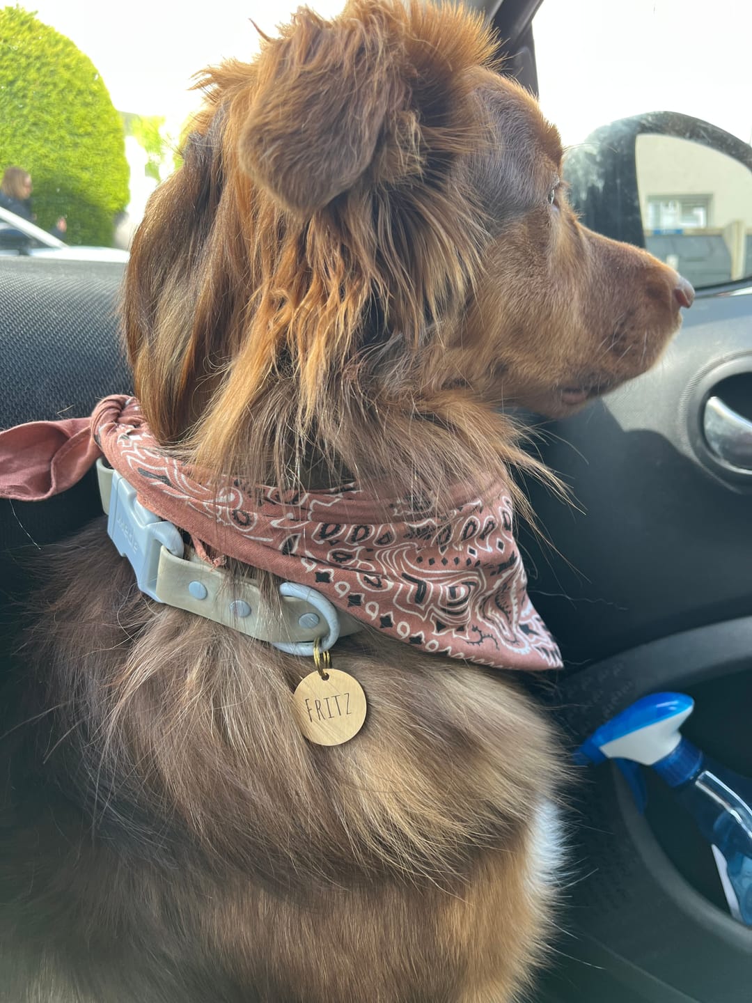 Customer photo review of Runde Hundemarke mit Gravur, Name und Telefon personalisiert