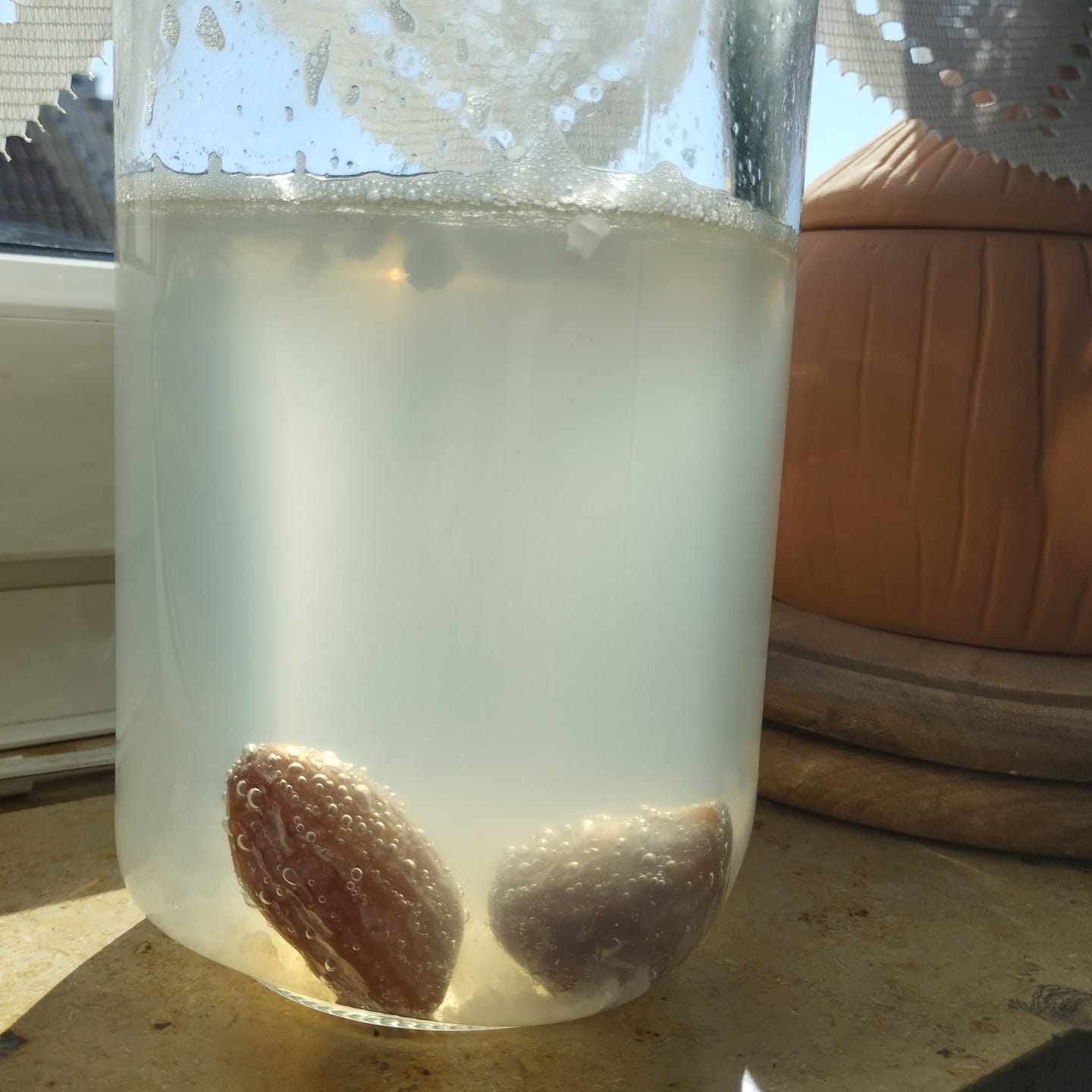 Customer photo review of BIO Wasserkefir-Kickstart: Potente Japankristalle (20g)