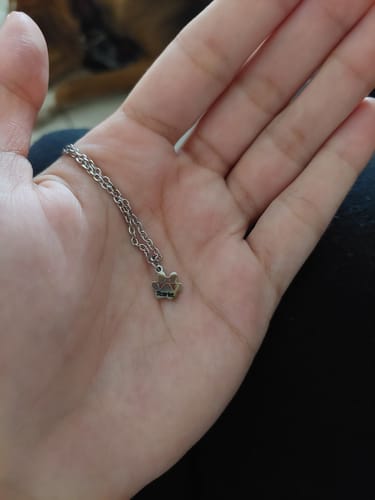 Customer photo review of Κολιέ με χάραξη το όνομα του Δικού σας Κατοικίδιου - Tiny Paw