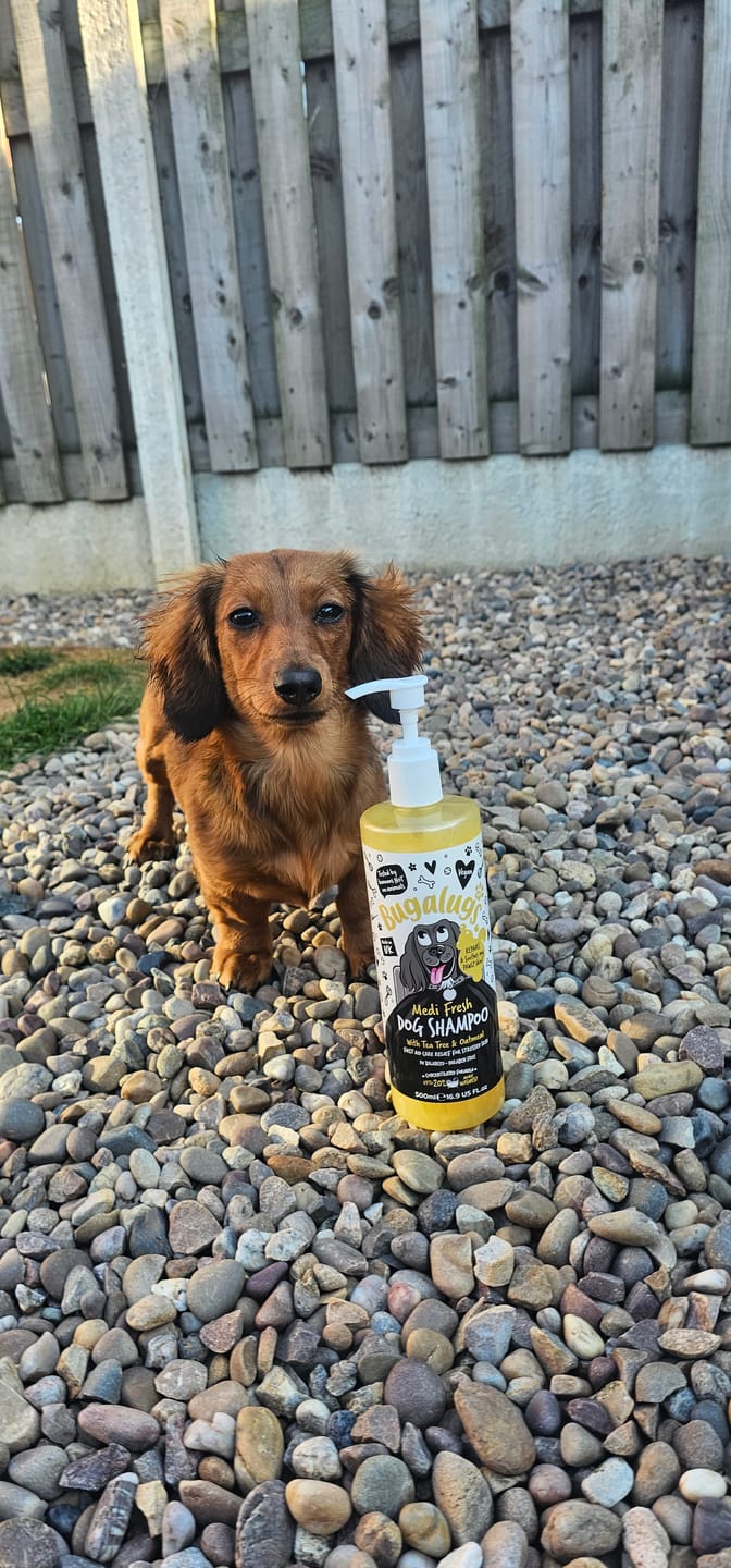 Customer photo review of Medi Fresh Dog Shampoo with Tea Tree & Oatmeal