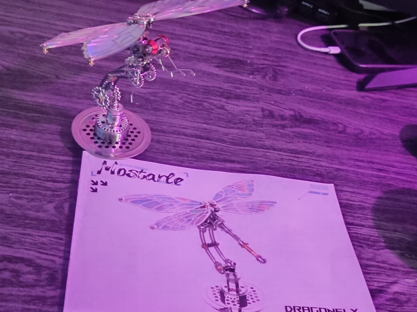 Customer photo review of Dragonfly