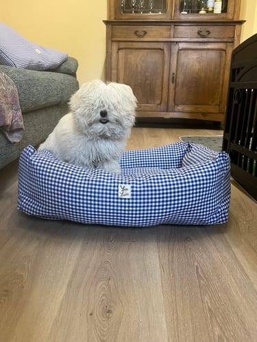 Customer photo review of Cover Cotone Vichy Bluette