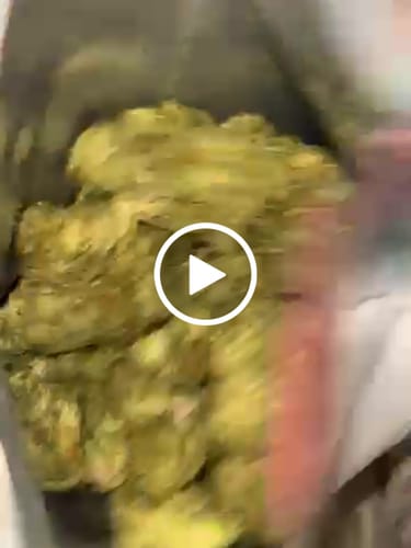 Customer video review of 420 Special - 28 Grams Littles - $42.00