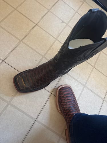 Customer photo review of “Bumblebee” Brown Jumbo Python Leather Boots - Square Toe
