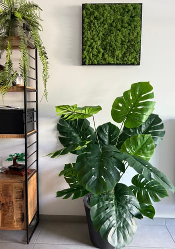 Customer photo review of Monstera Kunstplant 145cm