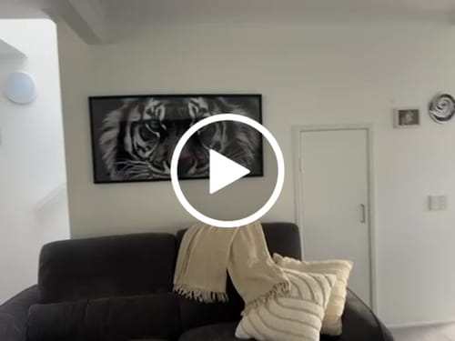 Customer video review of BLUE EYES TIGER