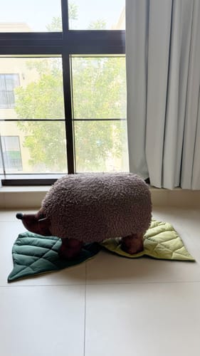 Customer photo review of Cute Hedgehog Kids Stool T13269