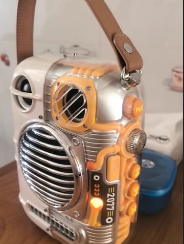 Customer photo review of Divoom Spark-Pro Bluetooth Portable Speaker Karaoke Speaker Perfect Gift