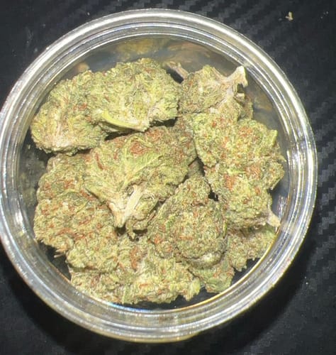 Customer photo review of Strawberry Cough THCA Flower