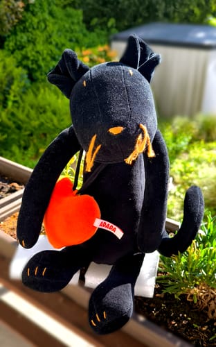 Customer photo review of INDIRA, LA PANTHÈRE