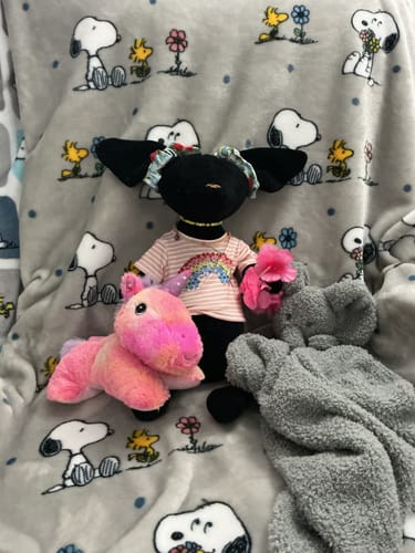 Customer photo review of SCOTT, LE TECKEL - GRAND