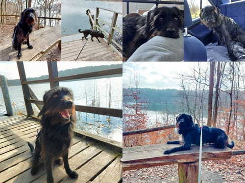 Customer photo review of Relax Time