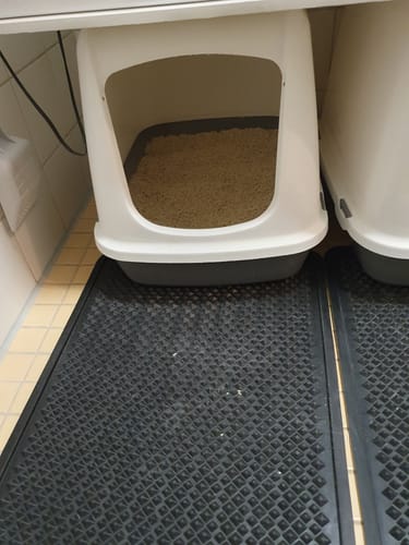 Customer photo review of Naturreines Katzenstreu - Angebot