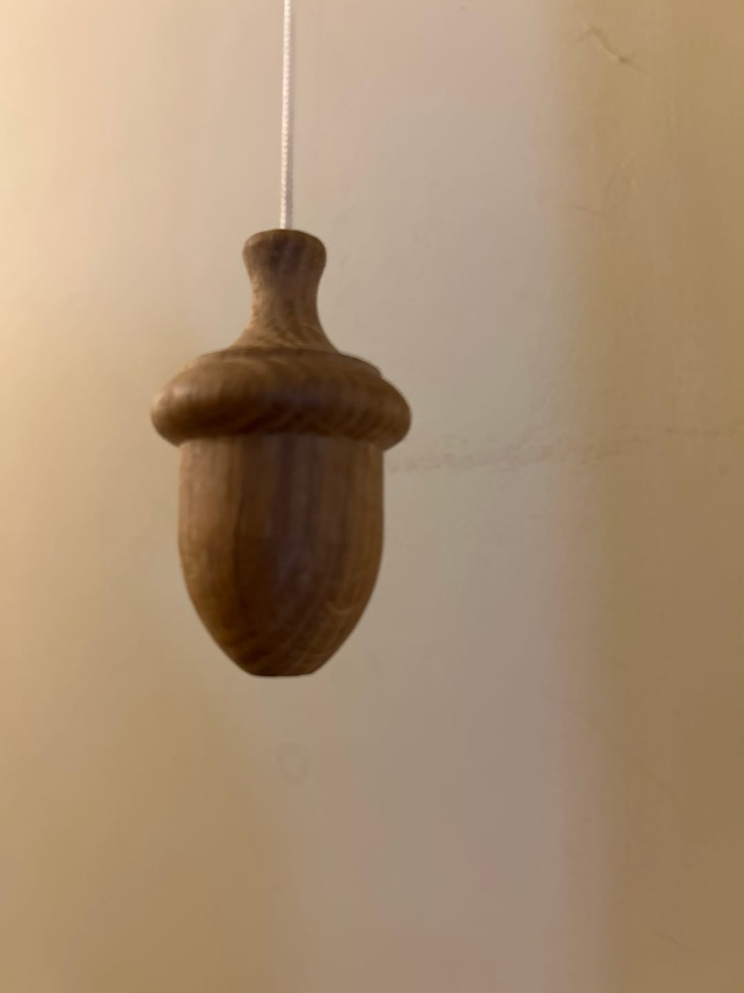 Customer photo review of Acorn Oak Light Pull