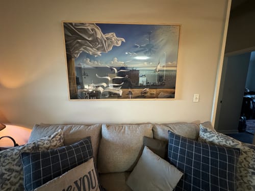 Customer photo review of SALVADOR DALÍ - XL+