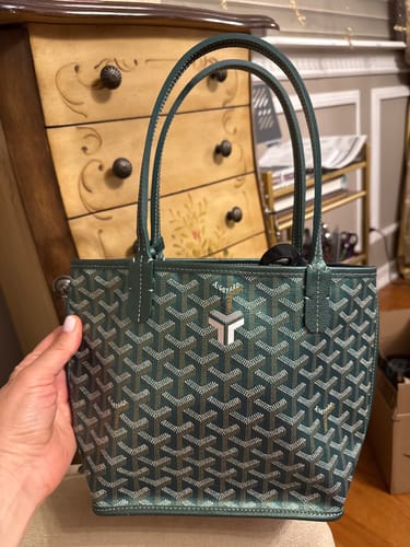 Customer photo review of ANJOU MINI BAG 20 IN GREEN CALFSKIN AND GOYARDINE CANVAS