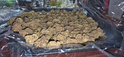 Customer photo review of Permanent Runtz - Bulk- Hybrid