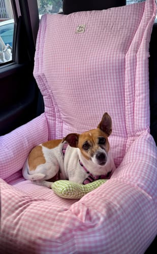 Customer photo review of Seggiolino Auto Cotone Beige Righe Strette