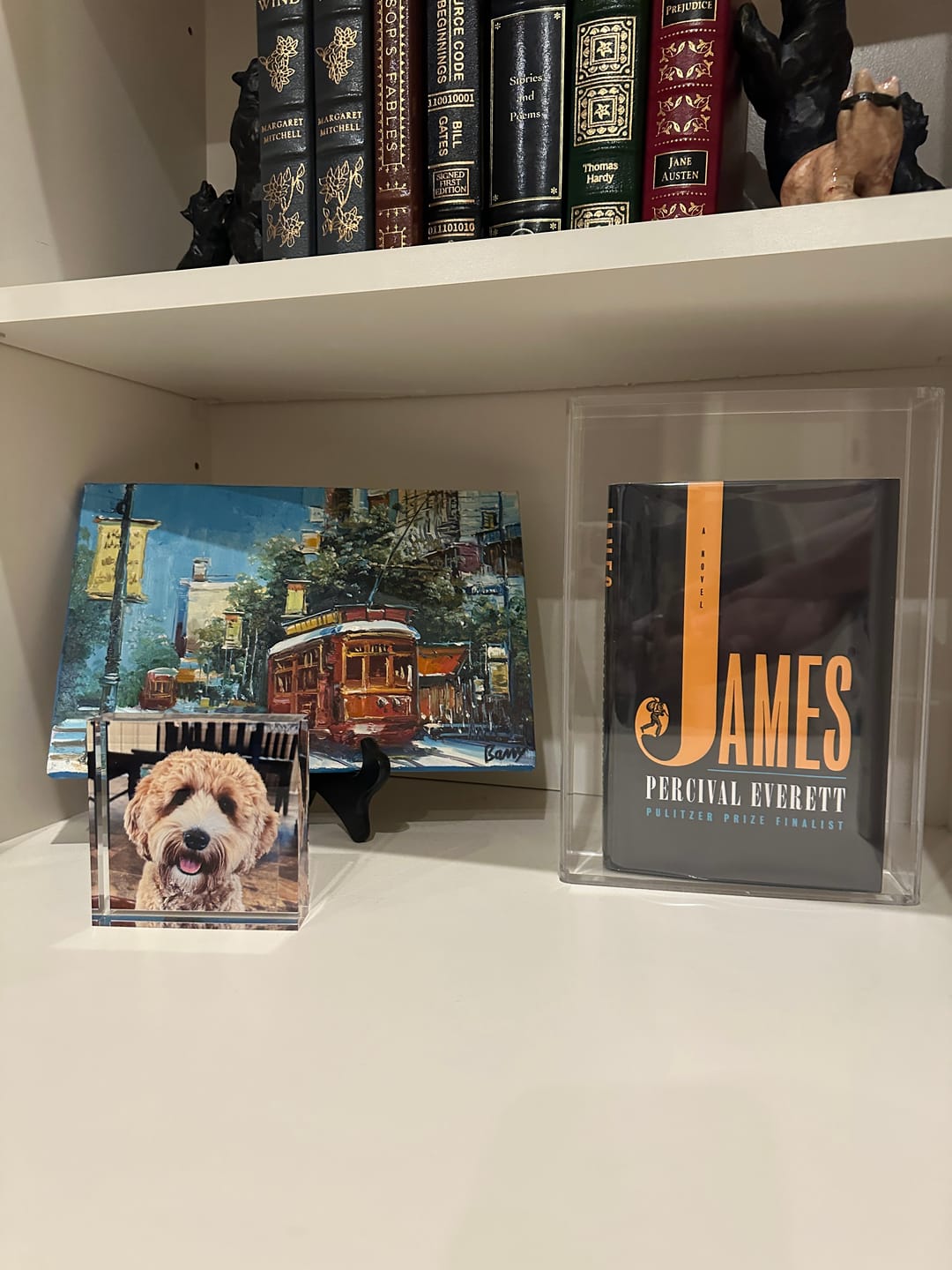 Customer photo review of Acrylic Book Display Cases