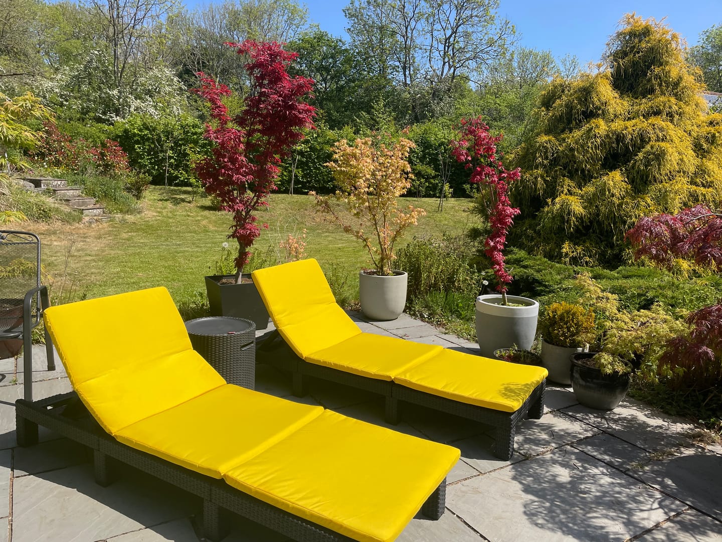 Customer photo review of Water-Resistant Garden Sun Lounger Cushions Outdoor Foldable Sunbed Cushions with Back Straps
