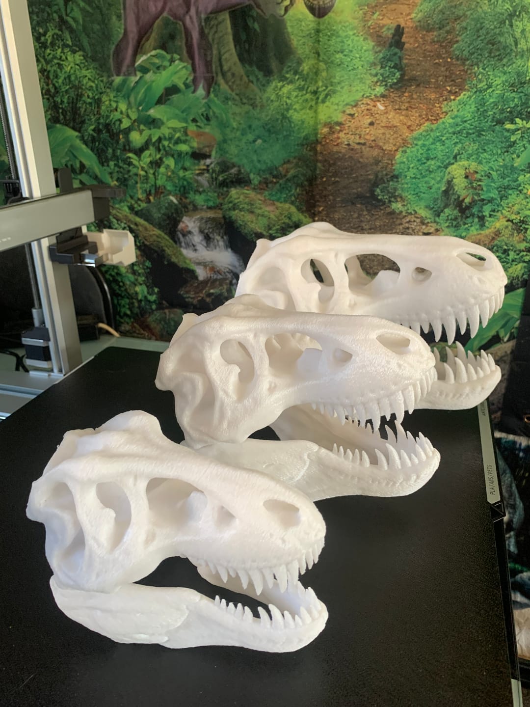 Customer photo review of Anycubic Kobra 3 Max Combo