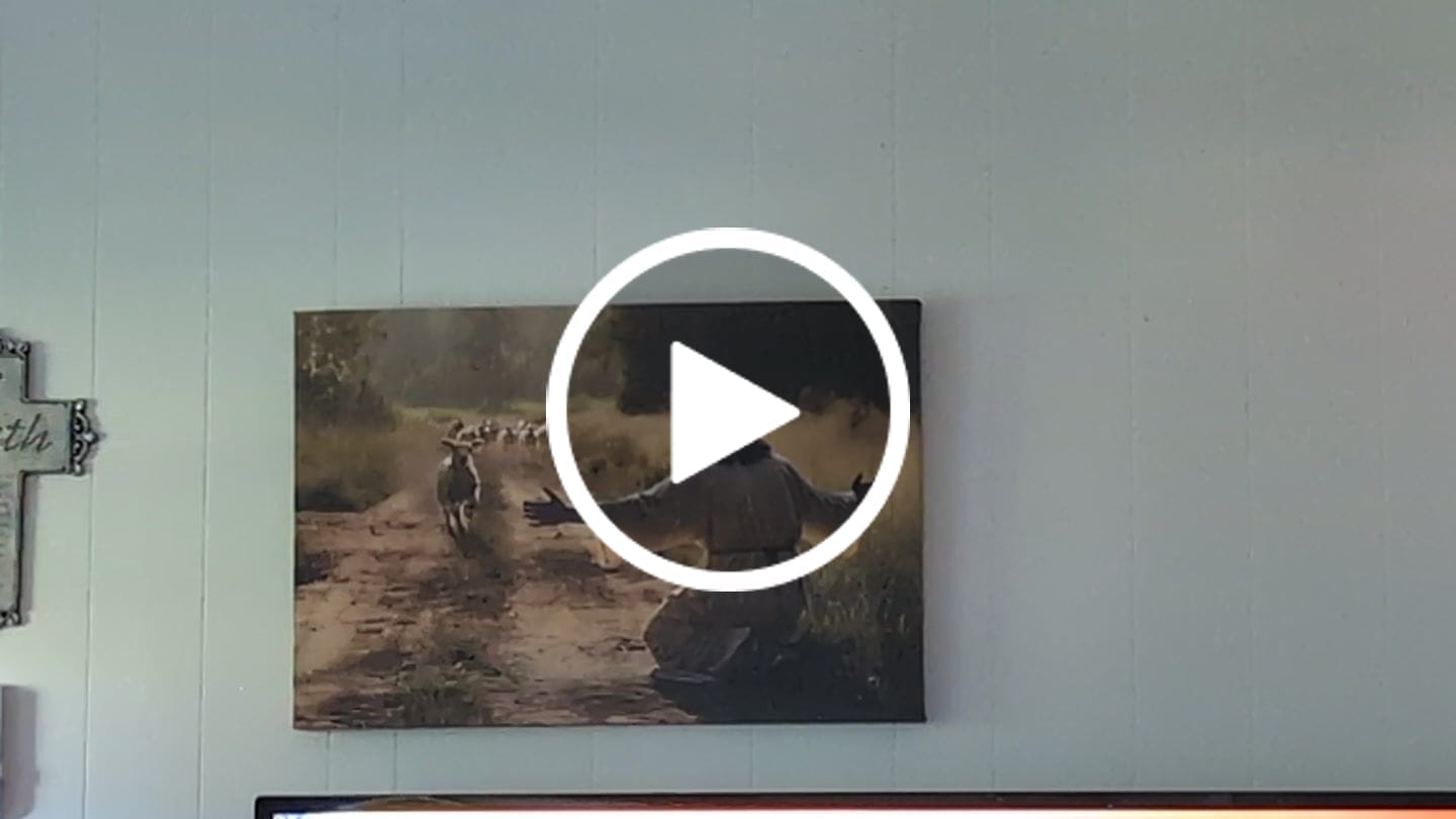 Customer video review of Lamb Runs to Jesus Wall Art Canvas