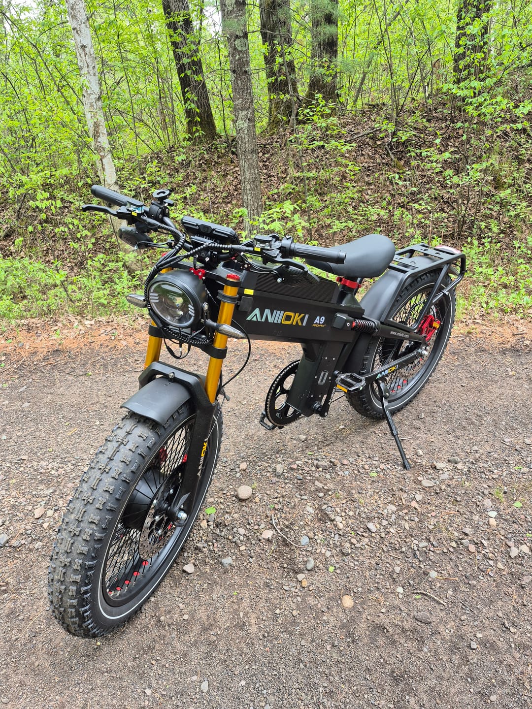 Customer photo review of 2025 Version A9 Pro Max Dual Motor Ebike