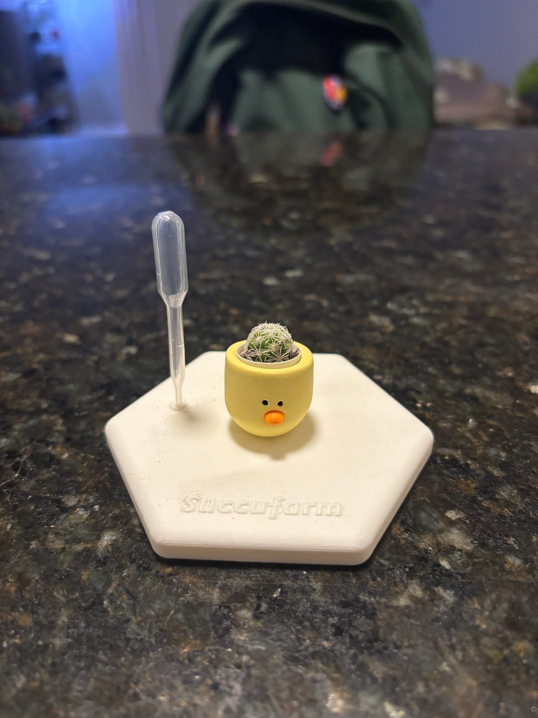 Customer photo review of Chick Magnet