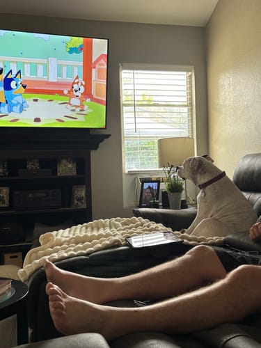 Customer photo review of Pet Art Canvas Wrap