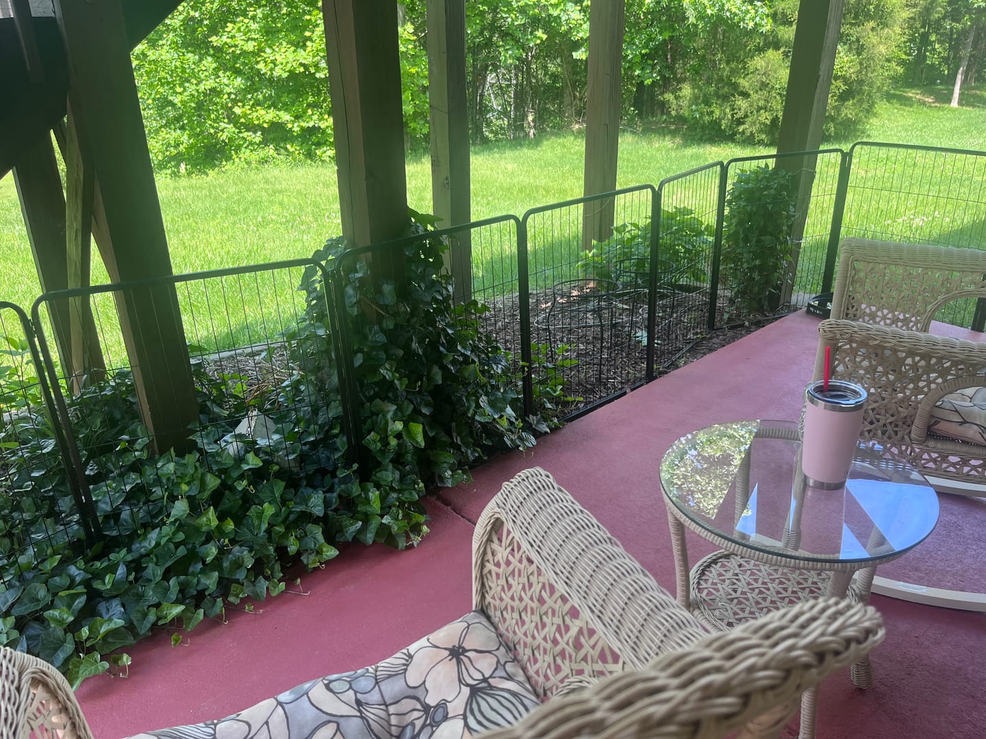 Customer photo review of Instant Dog Playpen for RV Trips
