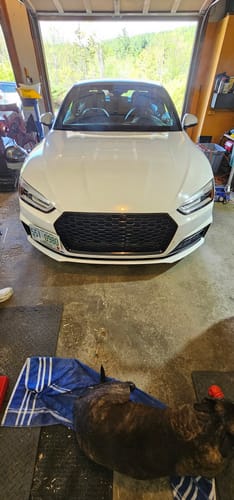 Customer photo review of 2018-20 Audi A5 | S5 | RS5 Tow Hook License Plate Mount Bracket