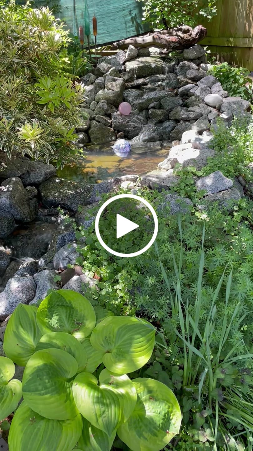 Customer video review of Pond and Rock Cleaner - Hydro Vescense™  For All Types of Ponds and Pondless Water Features