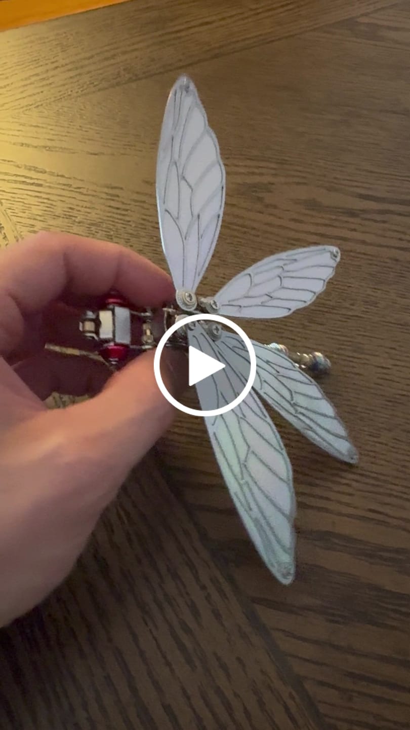 Customer video review of Dragonfly