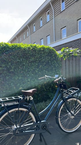 Customer photo review of E-Cargo N7
