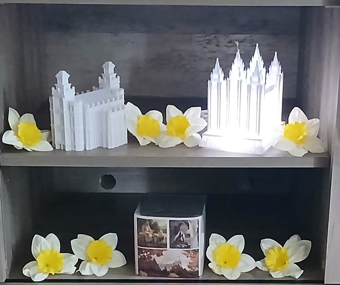 Customer photo review of Salt Lake Temple Music Light