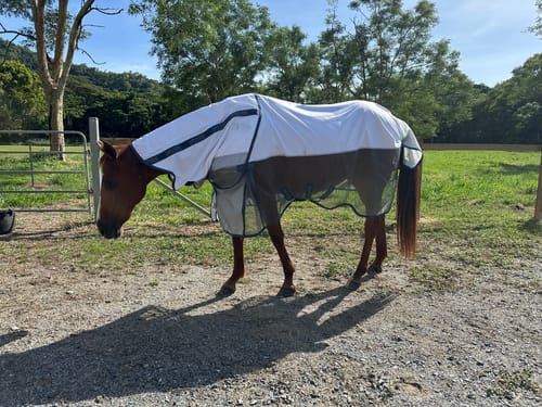 Customer photo review of LE Breeze Summer Sheet with Fieldsafe Front