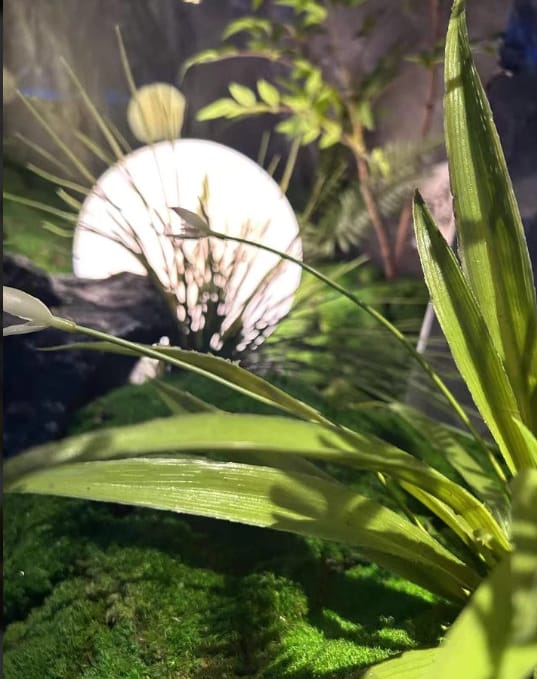 Customer photo review of GardenMate™ - Spherical Garden Light