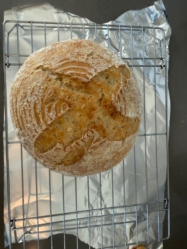 Customer photo review of Gluten-Free Organic Sourdough Starter